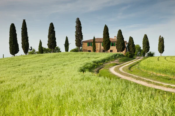 Farmhouse in Tuscany near Pienza, Italy — Stock Photo, Image