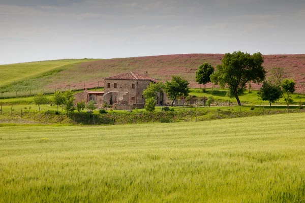 Tôt le matin à la campagne en Toscane — Photo