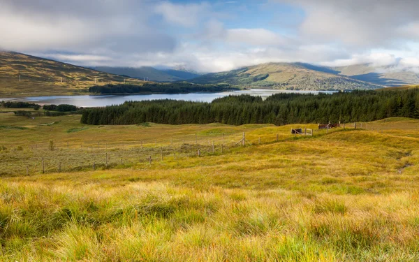 Skót Felföld, és a skóciai Loch krisztian — Stock Fotó