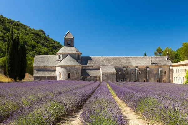 Abbaye de Sénanque com campo de lavanda, Provence, França — Fotografia de Stock
