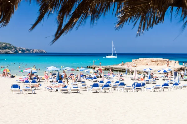 Tarida beach, ibiza, Španělsko — Stock fotografie