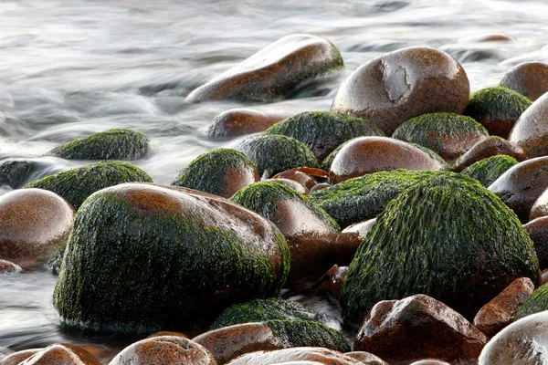 Galets sur la plage Images De Stock Libres De Droits