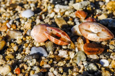 üç mermi kumun üzerinde yalan