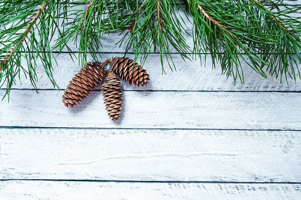 Branches Christmas Tree Three Cones Vintage Wooden White Background Place — Stock Photo, Image