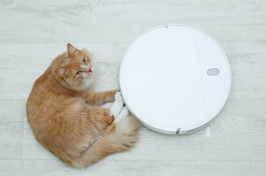 Kızıl kedi yerde robot bir elektrik süpürgesinin yanında yatıyordu. Yukarıdan görüntüle.