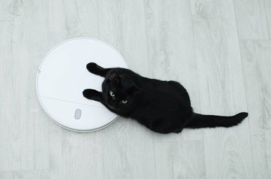 Siyah bir kedi odadaki beyaz bir robot süpürgenin üzerine oturur. Yukarıdan görüntüle.