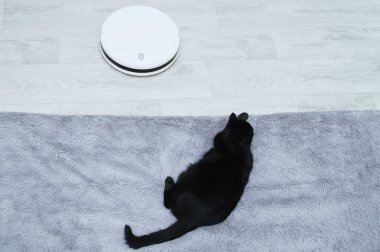 Beyaz robot süpürge yerde ve siyah kedi yatakta yatıyor..