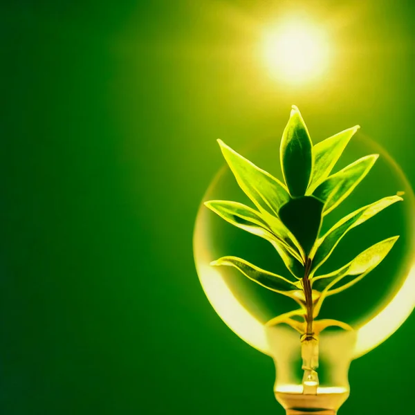 Natural energy concept. Light bulb with small plant inside. Eco green energy concept