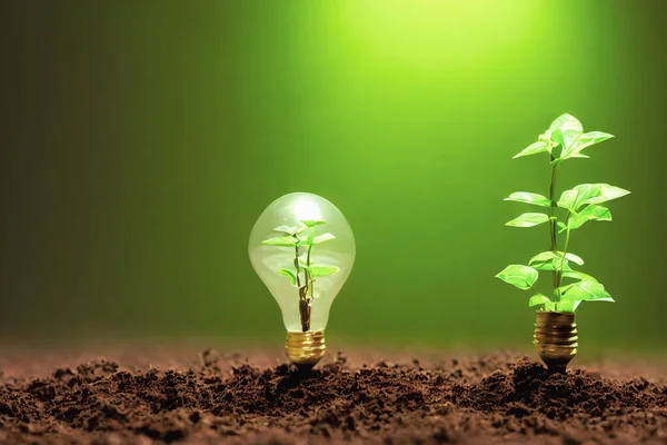 Natural energy concept. Light bulb with clean nature symbol inside, Tree, little plant. High quality 3d illustration