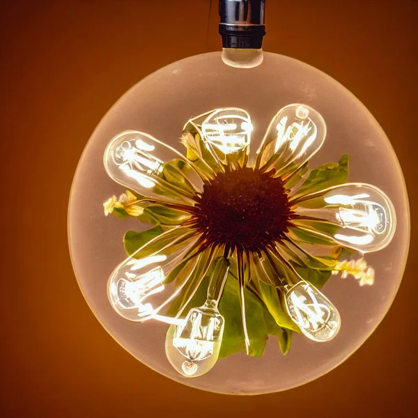 Natuurlijke Energie Concept Lampje Met Plantje Erin Milieuvriendelijk Energieconcept — Stockfoto