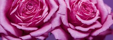 Arka plan olarak kullanılan kırmızı güllerden renkli çiçek buketi. Sancak boyutu. Yüksek kalite 3d illüstrasyon