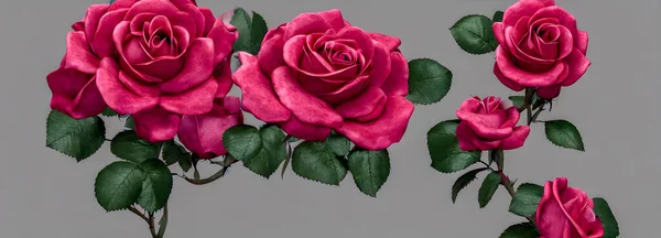 Colorful Flower Bouquet Red Roses Use Background Banner Size High — Stock Photo, Image