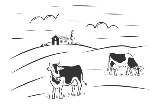 Cows Graze Meadow Rural Landscape Vector Illustration Royalty Free Stock Illustrations