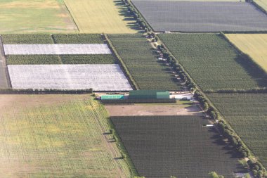 Temiz ilkbahar Avrupa tarlaları. Uçaktan çekilen yeşil alanlar..