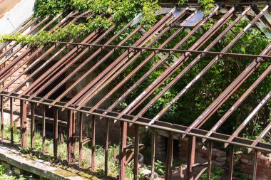 Eski bir seranın kalıntıları. Sebze yetiştirmek için ısıtılmış eski bir seranın iskeleti..