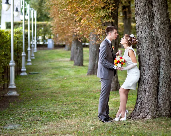 Young bride and groom standing in a park — Stock Photo, Image