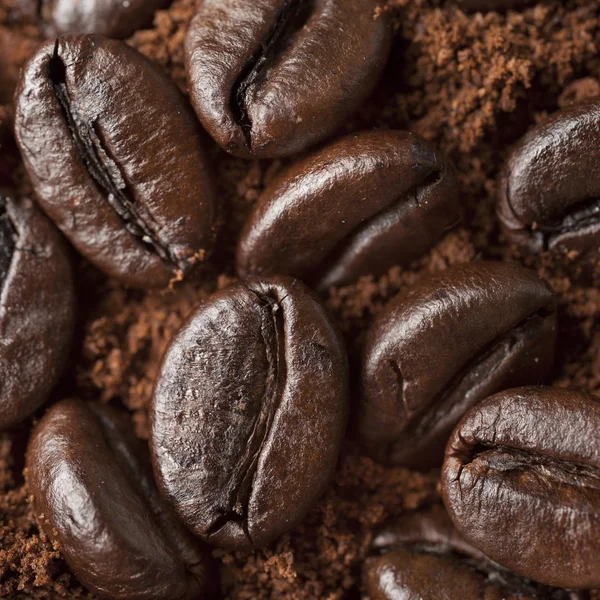 भाजलेल्या कॉफीच्या ढिगावर कॉफी बीन्स बंद करा. मॅक्र वर कॉफी बीन — स्टॉक फोटो, इमेज
