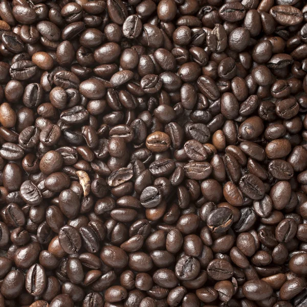 A lot of roasted coffee beans which have been scattered all over — Stock Photo, Image