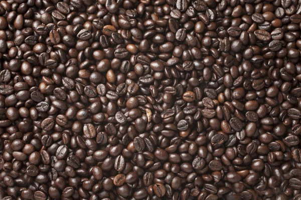 A lot of roasted coffee beans which have been scattered all over — Stock Photo, Image
