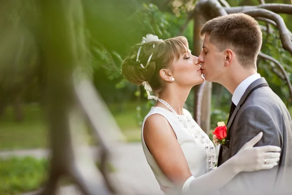 Kissing wedding couple — Stock Photo, Image