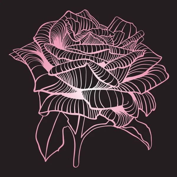 Рожевий Контур Троянди Чорному Тлі Вид Збоку Троянду — стокове фото