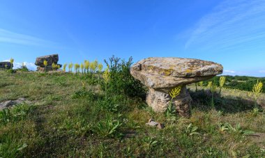 Dobrovan Taş Mantarları, Bulgaristan 'ın Sini kasabasından yaklaşık 10 km uzaklıktaki Doğu Stara Planina' da bulunan tuhaf kaya oluşumları.