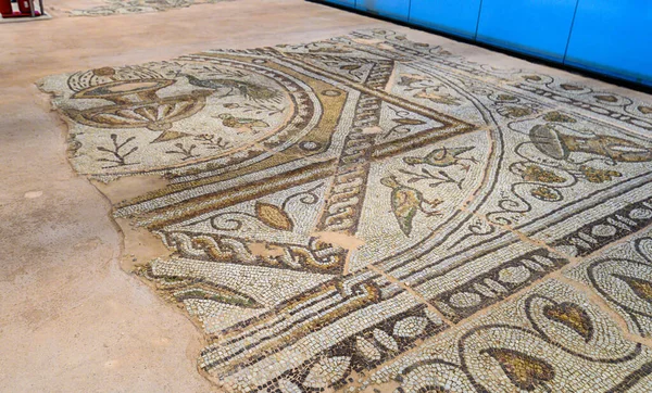 Plovdiv Bulgária Püspöki Bazilika Philippopolis Római Mozaik Öröksége — Stock Fotó