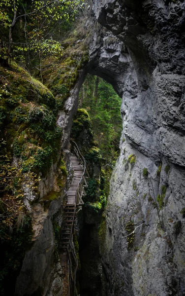 魔鬼之路 在保加利亚罗多佩斯山区风景如画的生态路径和远足的小径 岩层下的木桥魔鬼桥 — 图库照片