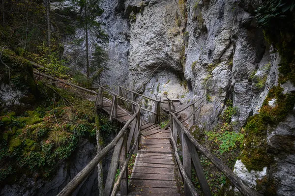 Devil Path Pintoresco Sendero Ecológico Sendero Senderismo Las Montañas Rhodopes — Foto de Stock