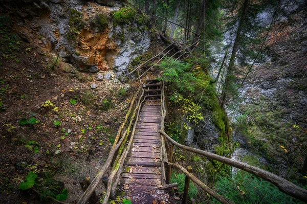魔鬼之路 在保加利亚罗多佩斯山区风景如画的生态路径和远足的小径 秋天的木桥 — 图库照片
