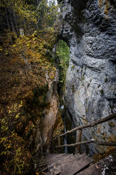 魔鬼之路 在保加利亚罗多佩斯山区风景如画的生态路径和远足的小径 岩层下的木桥魔鬼桥 — 图库照片