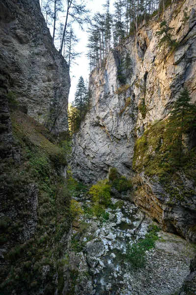 魔鬼之路 保加利亚罗多佩斯山区风景如画的生态路和远足小径 — 图库照片