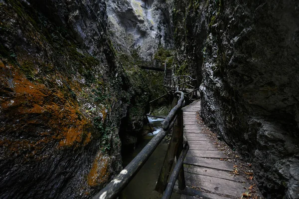 魔鬼之路 在保加利亚罗多佩斯山区风景如画的生态路径和远足的小径 秋天的木桥 — 图库照片