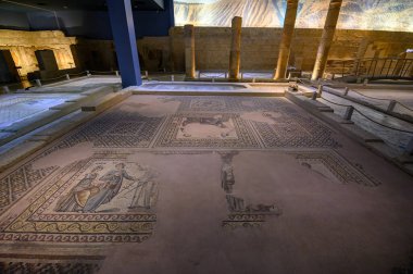Gaziantep, Türkiye. Zeugma Mozaik Müzesi, dünyanın en büyük mozaik koleksiyonlarından biri. Zeugma antik kenti MÖ 300de Büyük İskender tarafından kurulmuştur.