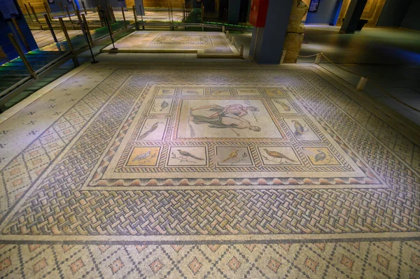 Gaziantep Törökország Zeugma Mozaik Múzeum Egyik Legnagyobb Mozaik Gyűjtemény Világon — Stock Fotó