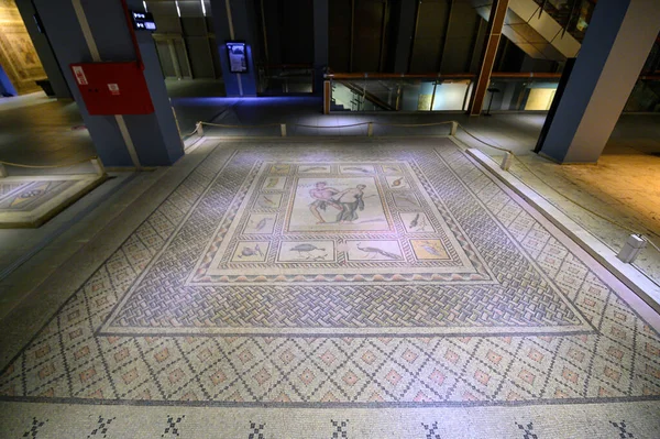 トルコのガジャンテップ 世界最大級のモザイクコレクションのひとつである ゼウスモザイクミュージアム ジュグマの古代都市は 紀元前300年にアレキサンダー大王によって設立されたことが知られています — ストック写真