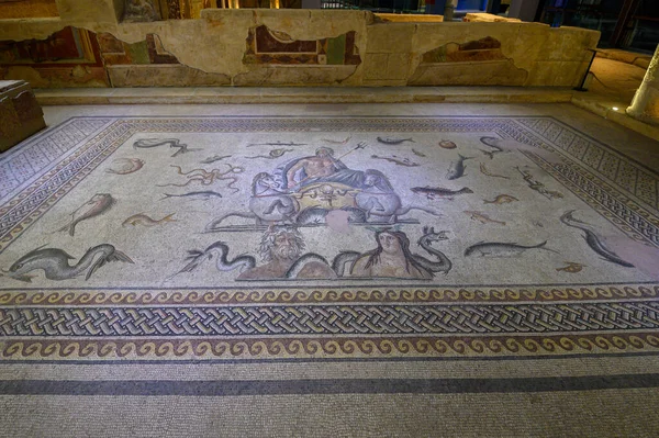Gaziantep Törökország Zeugma Mozaik Múzeum Egyik Legnagyobb Mozaik Gyűjtemény Világon — Stock Fotó