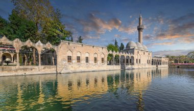 Şanlıurfa 'daki Balikligol (Balık Gölü). İbrahim Havuzu veya Kutsal Balık Havuzu Panoraması. 