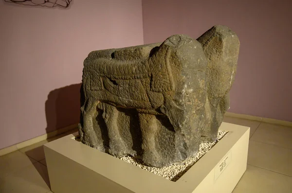 トルコのサンリウルファ Sanliurfaの考古学博物館の内部と遺物 — ストック写真