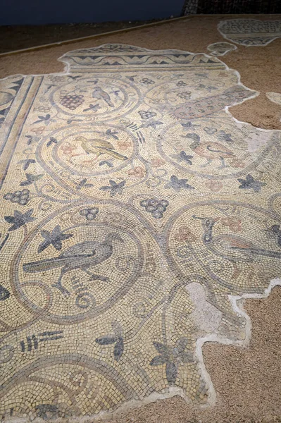 Sanliurfa Turkey Mosaic Site Haleplibache Sanliurfa Urfa Museum — Stock Fotó