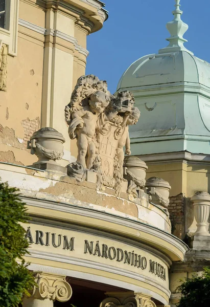 Estatua Museo Nacional Lapidary Narodni Muzeum Lapidarium Praga República Checa — Foto de Stock
