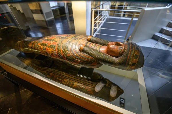 Artifacts Museum Ancient Egypt Kultúra Barcelonában Spanyolország — Stock Fotó