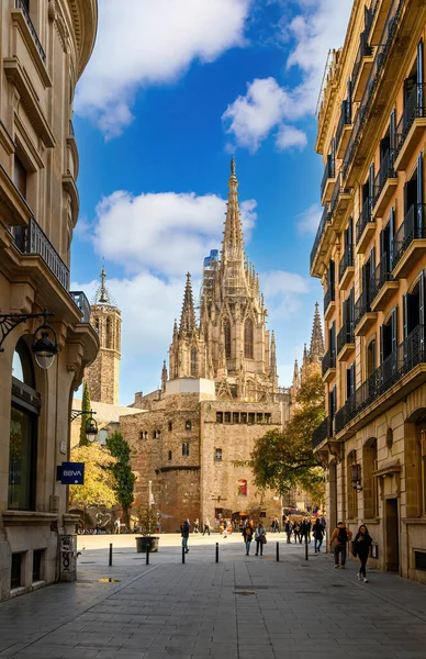 Barcelona Spanje Uitzicht Kathedraal Van Barcelona Catedral Santa Cruz Santa — Stockfoto