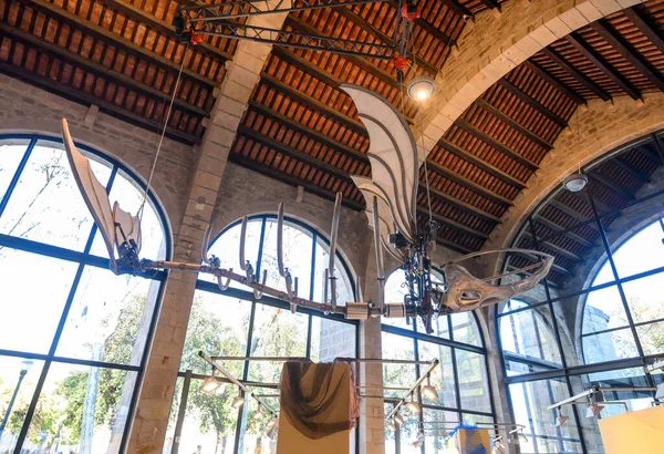 Barselona, İspanya. Denizcilik Müzesi 'ndeki gemi ve aksesuar modelleri