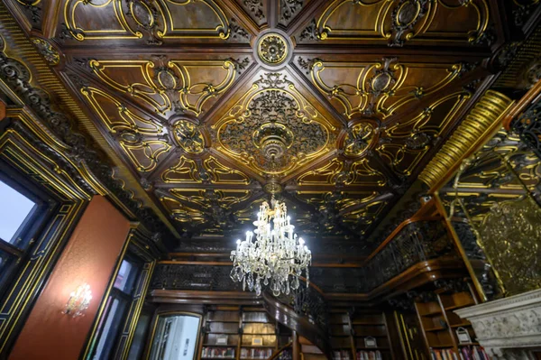 Чудовий Інтер Знаменитої Бібліотеки Сабо Ервіна Будапешт Угорщина — стокове фото