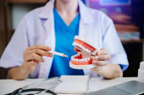 Concentrated dentist sitting at table with jaw samples tooth model and working with tablet and laptop in dental office professional dental clinic. medical doctor working
