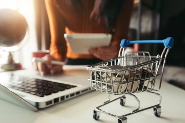 shopping cart with coins, woman using laptop 