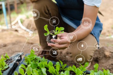 person checking tiny plants in garden 