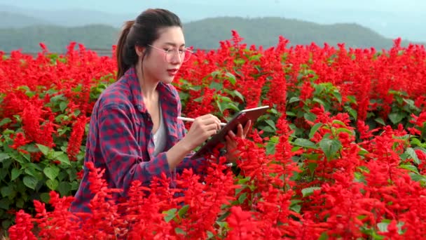 Young Woman Using Tablet Flowering Field — Stock Video