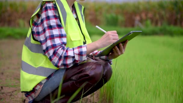 Farmer Woman Using Digital Tablet Computer Field Technology Application Agricultural — Vídeo de Stock